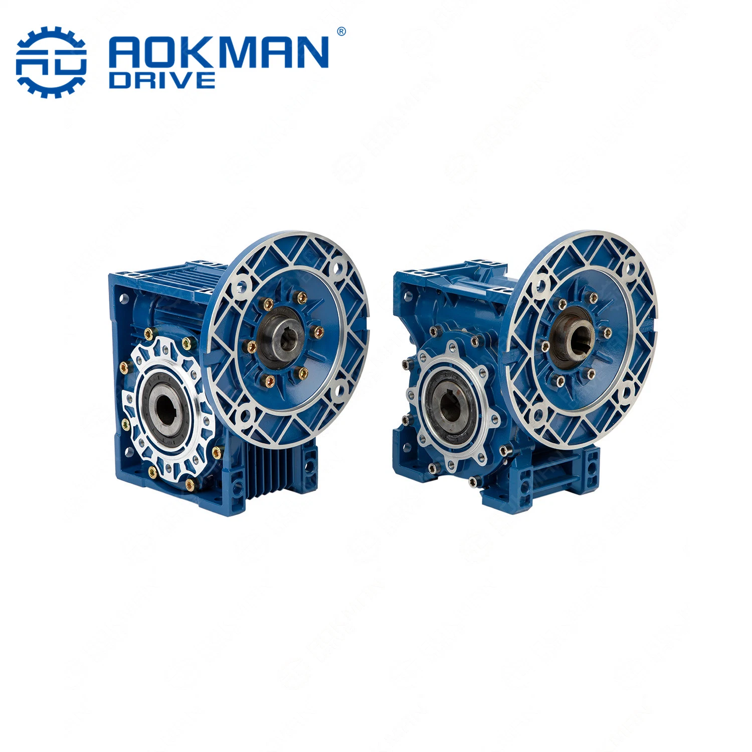 Aokman Nrv Series Worm Small Speed Reducer Gearbox with Extension Shaft