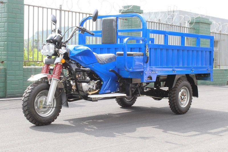 Hree Wheeled for Cargo Electric Cargo Tricycle Auto Rickshaw Passenger Wheel Motorcycle