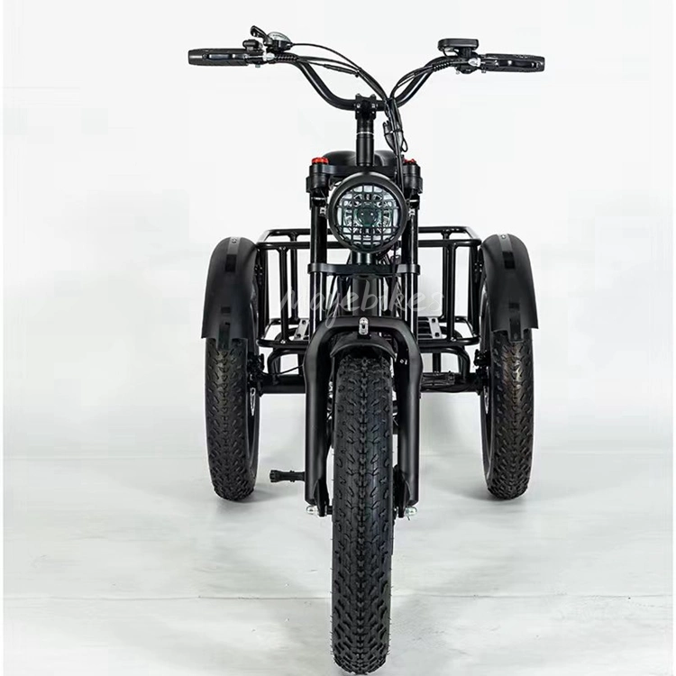 48V 500 واط داخل هيكل الإطار 20" ′ *4.0 Fat Tire Trike كهربائي مع شاشة TF Ourmrter S500 الذكية LCD