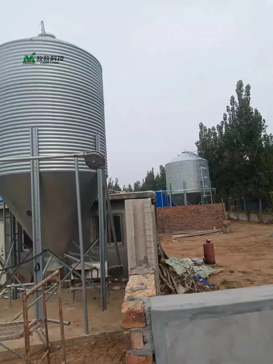 High quality/High cost performance  Feed Silo for Poultry Farm House Owners