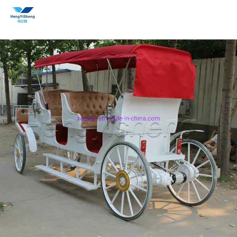 Special Transportation for Sightseeing Tourism Electric Carriage