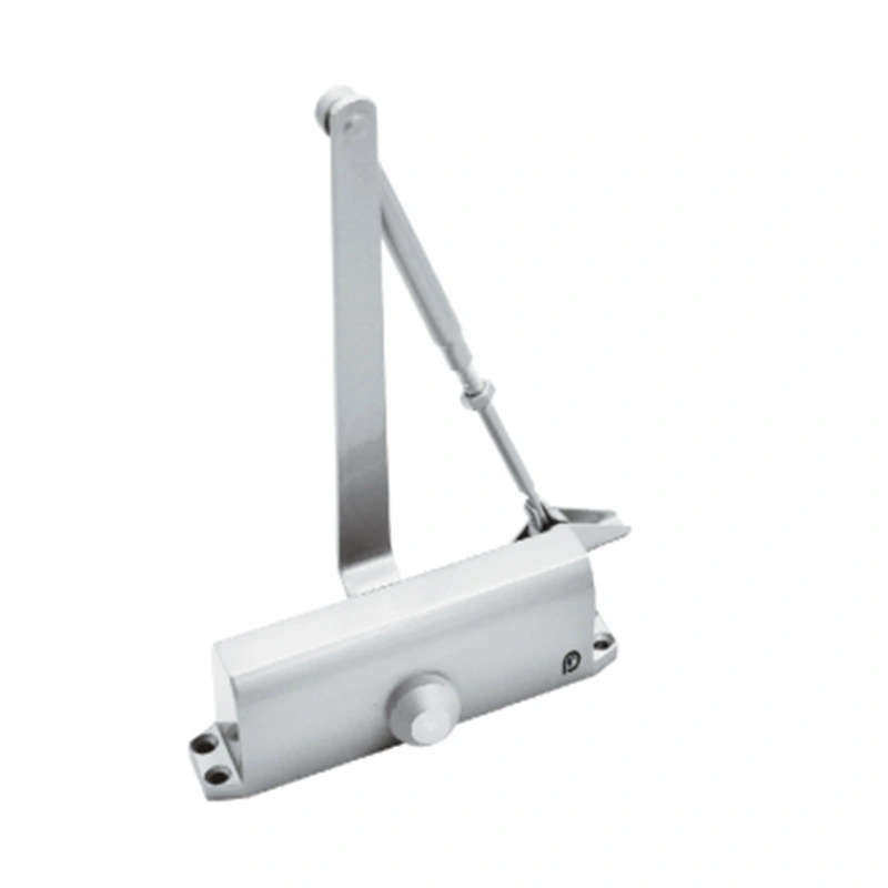 Project Procurement Anti-Fire Escape Door Hydraulic Door Closer