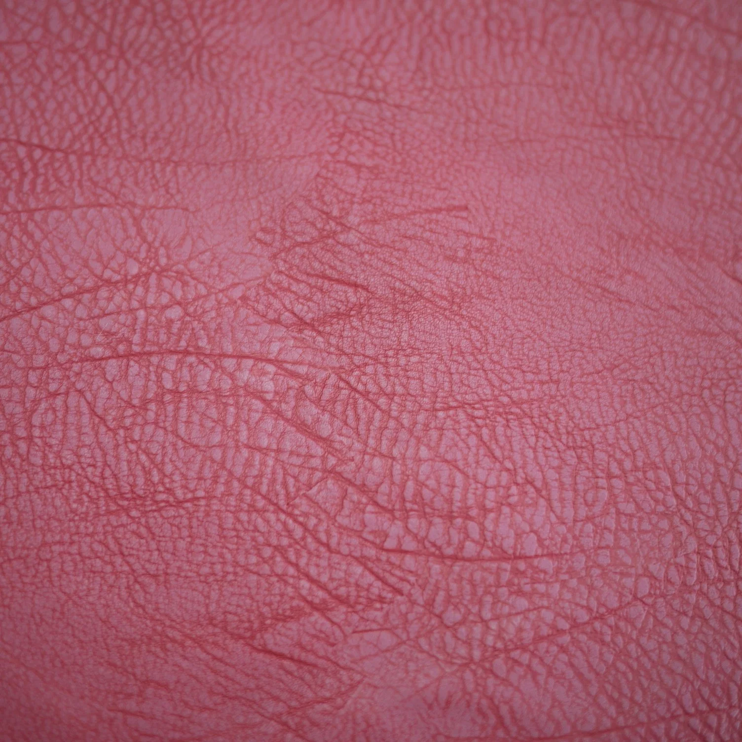 Washed Artificial Embossed Classic Leather & Leatheroid for Coat Garment