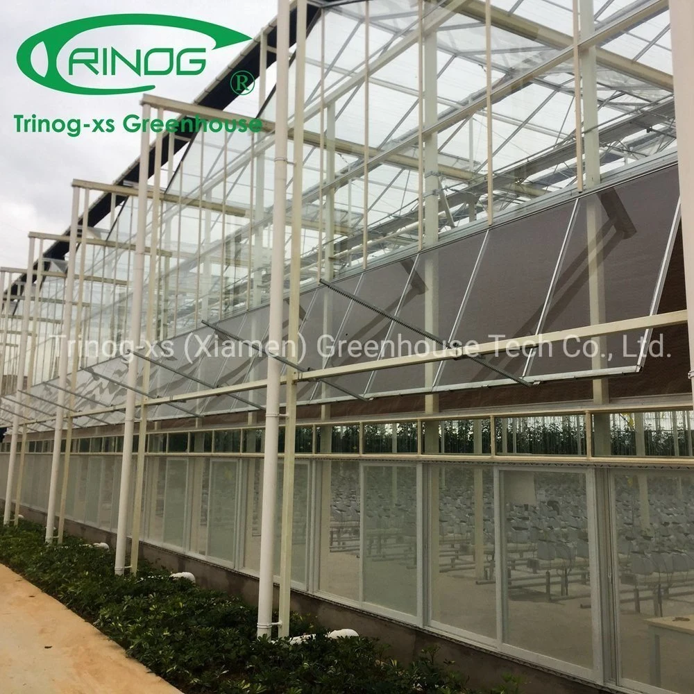Low Price Inner Shading System Cooling Multi-Span Galvanized Steel Pipe Structure Glass Greenhouse for Agriculture
