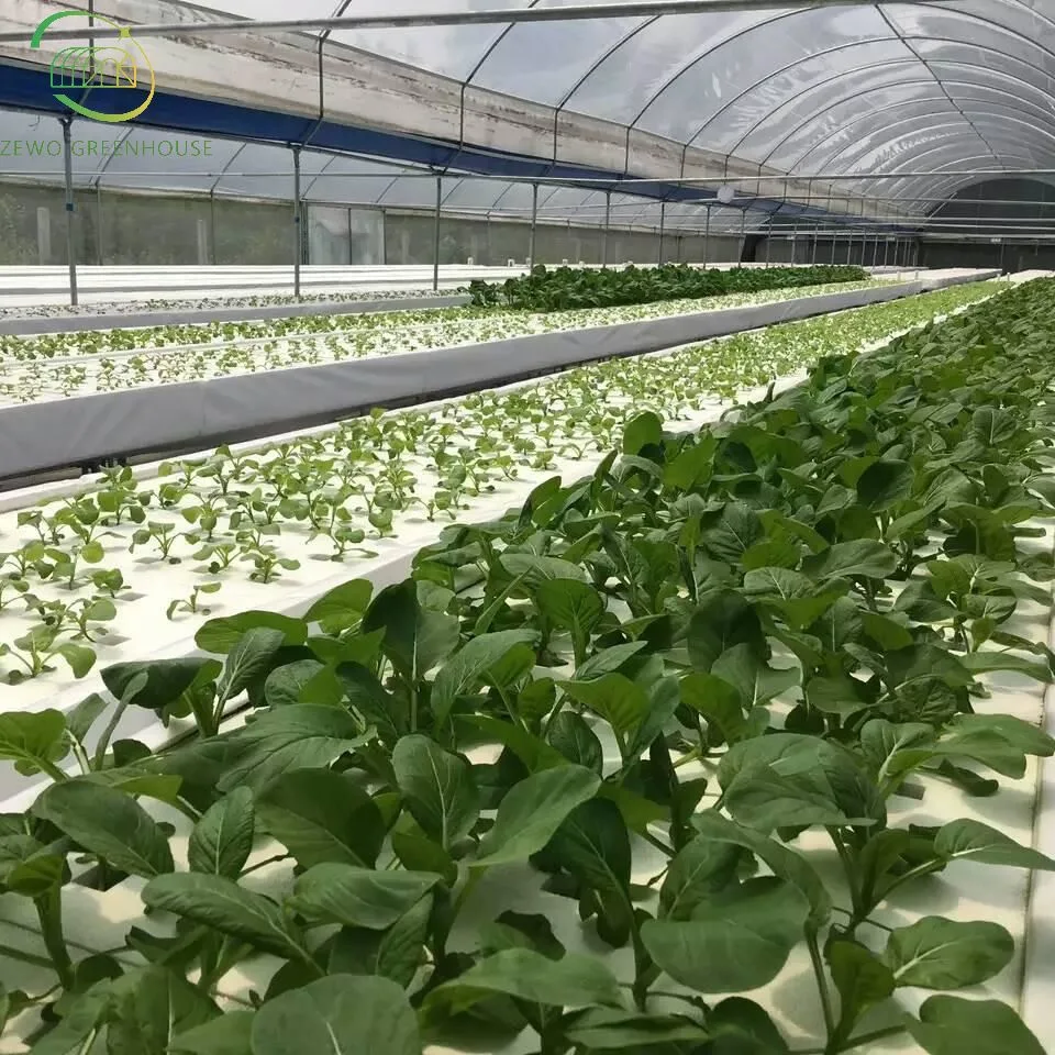 Cost Effective Indoor Farming PVC Nft Channel Hydroponics Grow System for Greenhouse