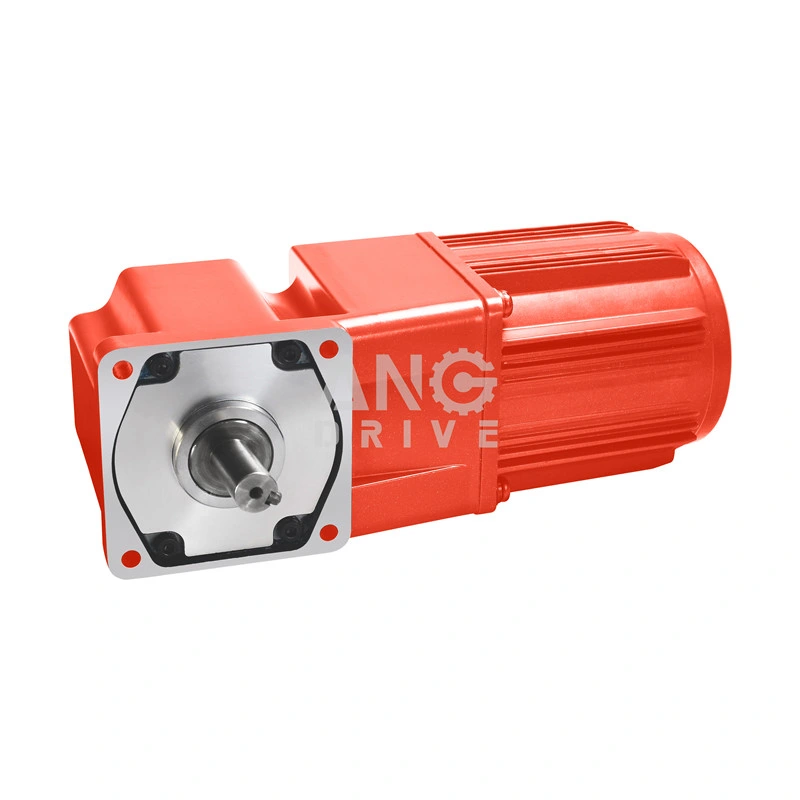 24V 36V 48V Industrial Usage Brush Mini Electric Gear Motor 12V DC Motor with Gearbox