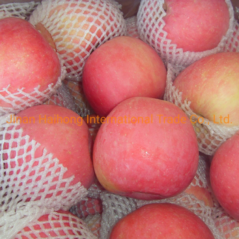 Imagens nítidas e Sweet Red FUJI Apple provenientes da China