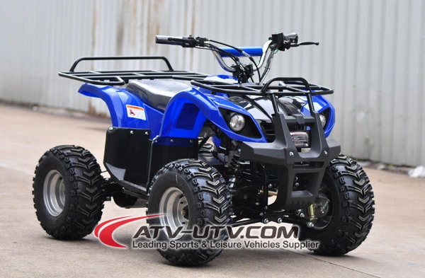 48V Shaft Drived Electric Adult ATV Quad Bike with Brushless Motor