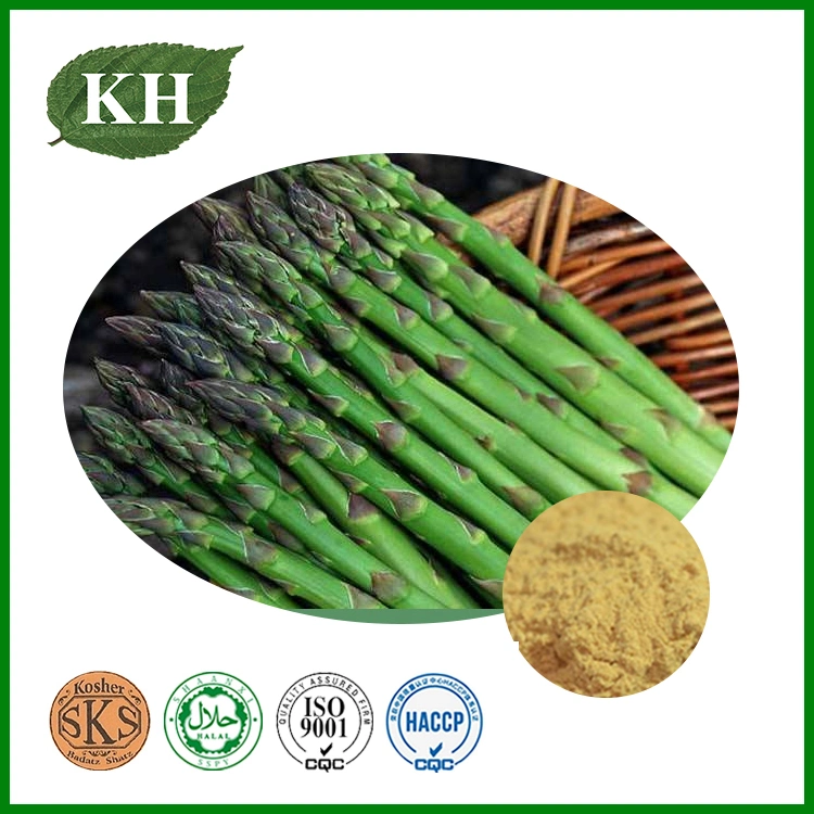 Extrait d'asperge 10%-30% polysaccharide 20% Saponines