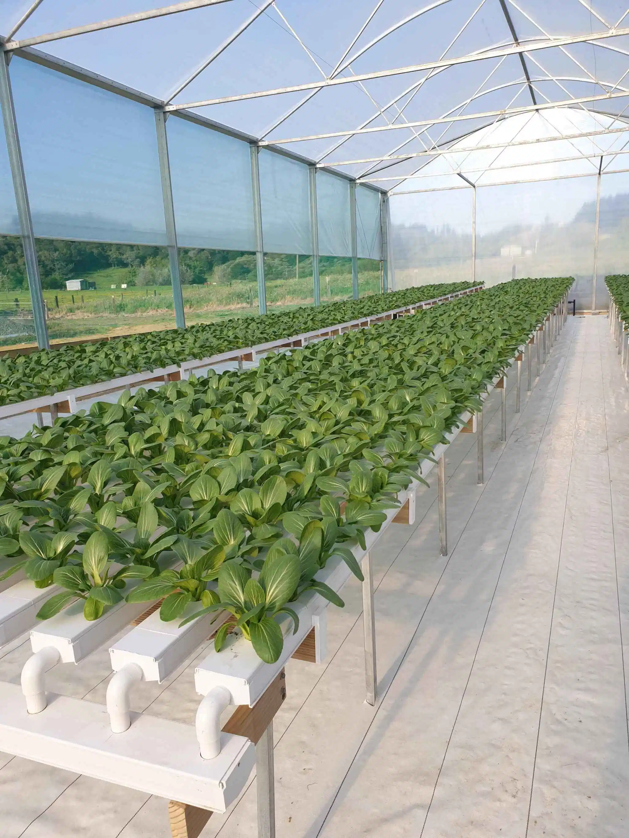 Wholesale PVC Materials Plastic Hydroponic Pipe Tube for Horizontal Vertical Nft Growing System