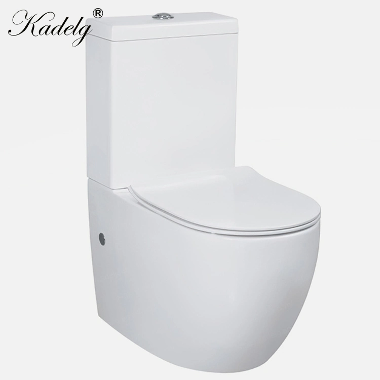 Watermark Toilet Porcelain Bathroom Toilet Matte Black Two Piece Toilet