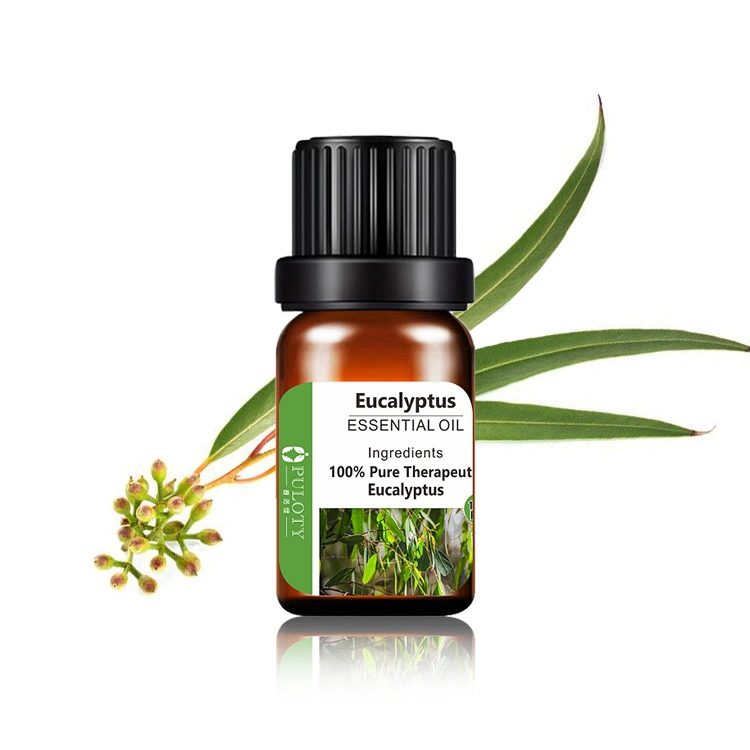 Famous Brand Refreshing Eucalyptus Oil Uses Synthetic Flavour &amp; Fragrance Type Eucalyptus Oil