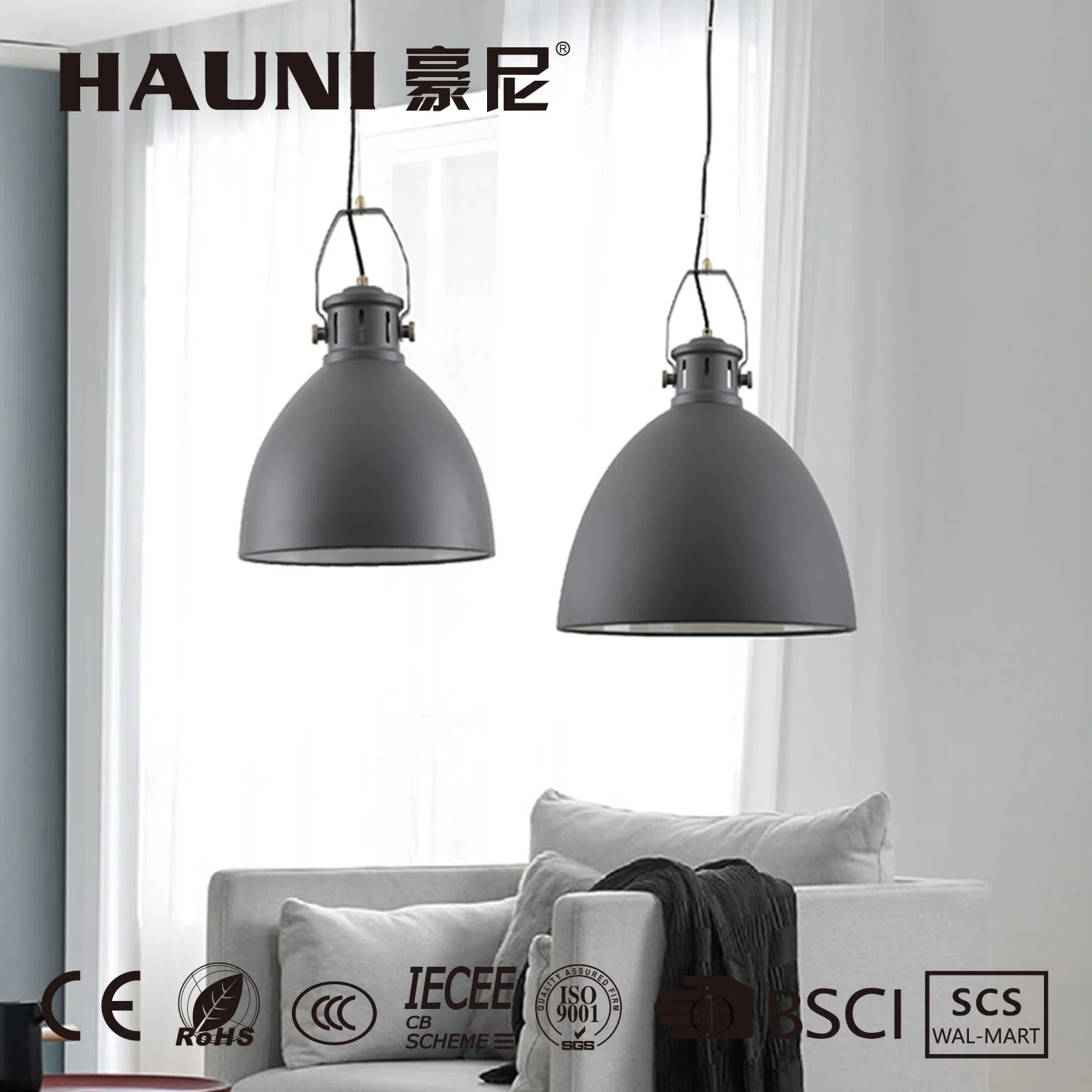 Metal Home Decoration Hanging Lighting Modern Pendant Lamp