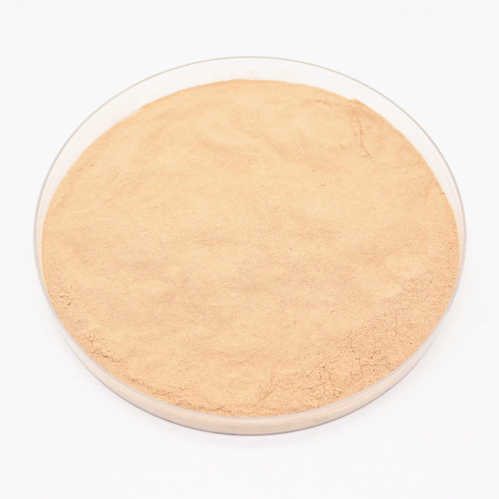 Best-Selling Compound Organic Agro Chemicals Plant Amino Acid Powder Fertilizer