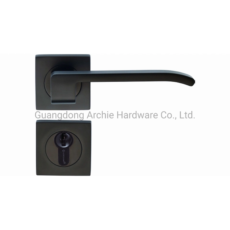 Modern Design Zinc Alloy Antibacterial Mortise Handle Lever Door Lock