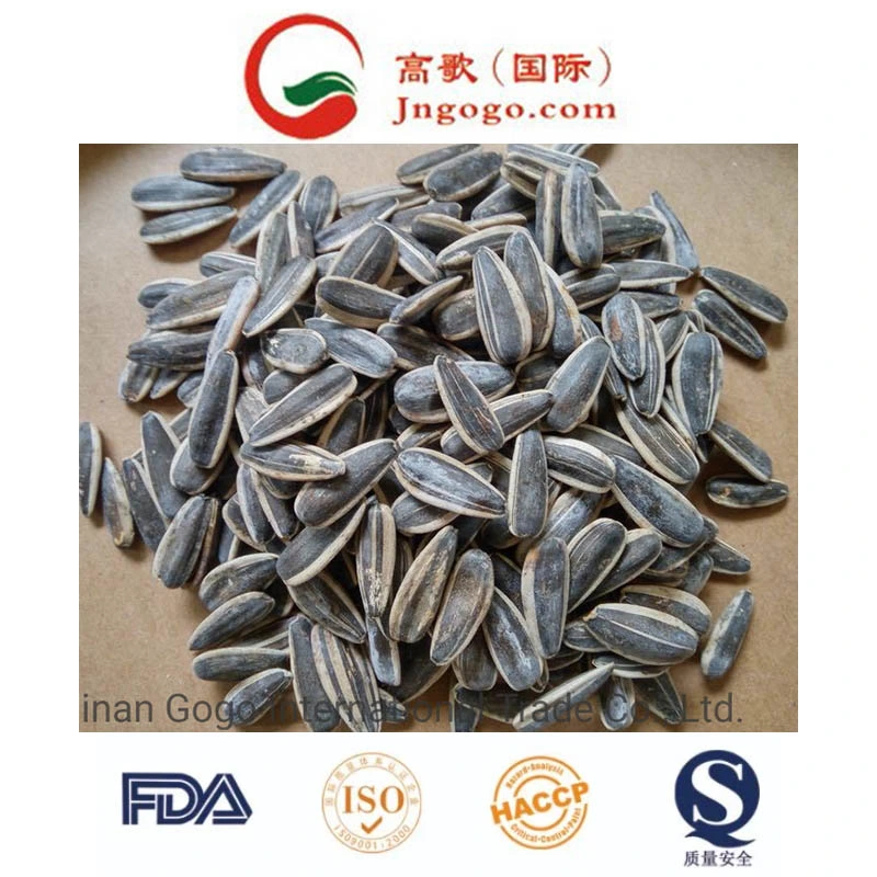 Bird Seed Round Type of Sunflower Seeds From Jngogo