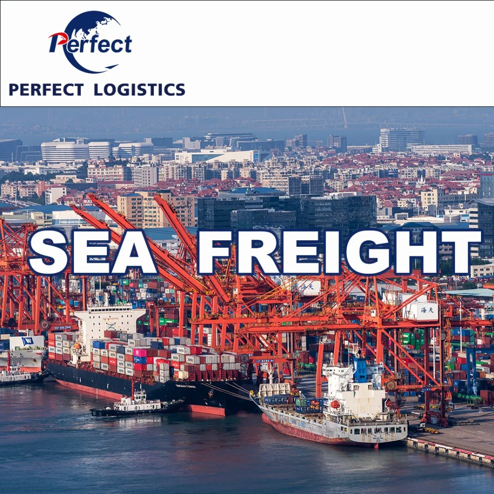 Ocean Cargo Consolidation Spediteur von Shenzhen China nach Luxemburg/UK/De