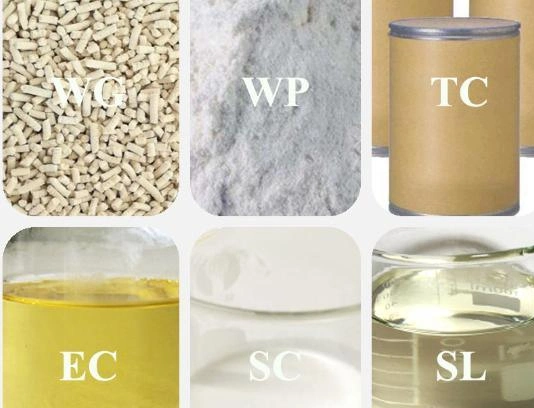 Ruigreat Chemical Agrochemical Herbicide Bispyribac-Sodium 95, 98%%Tc for Sale