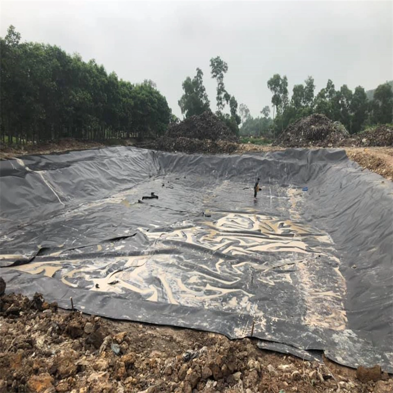 300microns Water Tank Pool Liner Geomembrane HDPE for Lebanon