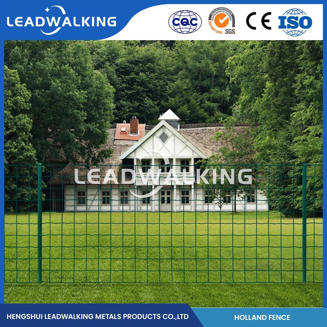 Leadwalking PE revestidos redes soldadas ODM fábrica holandesa personalizado de arame soldado Fencing China 50,8 x76.2mm Holland Zoneamento de Fios