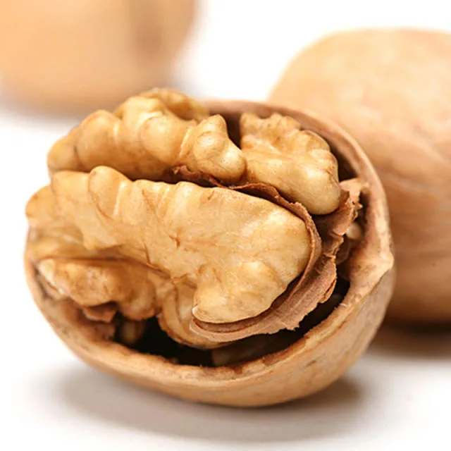 AAA Grade and The Best Walnut in Shell From China