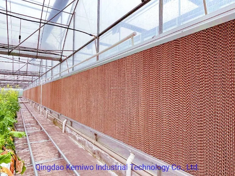 Breeding Farm/Pig House/Greenhouse/Factory Water Circulation Cooling Pad