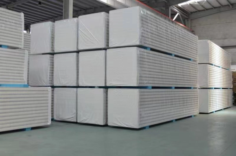 Cold Storage Room/Freezer Room Used in Farm and Warehouse