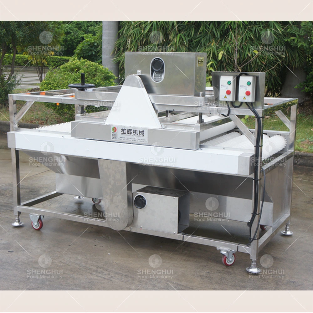 Automatgic Sugar Cane Washing Machine Brush Fruit Cleaning Machine Sugarcane Processing Machine Washer