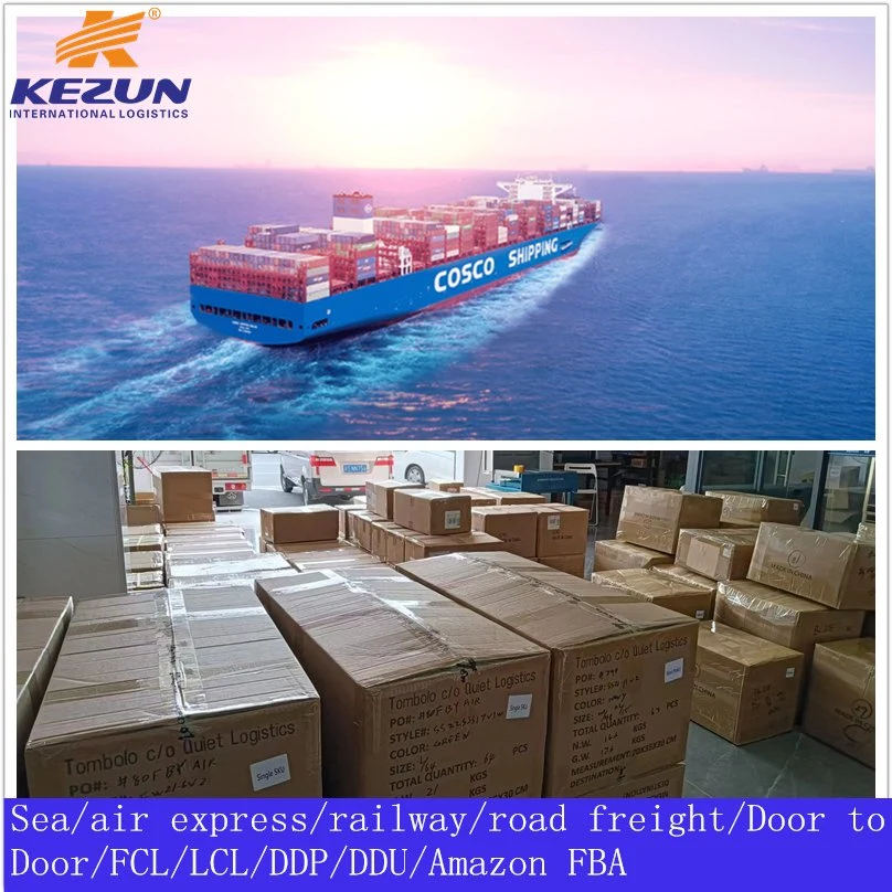 Dongguan 1688 Factory Sea Freight Shipping Agent From China to Europe USA Canada Cheapest Price