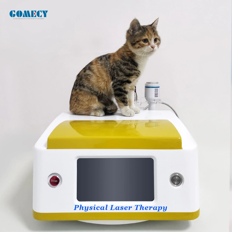 Laser Veterinary Equipment Pain Relief Treatment Massage Device for Pets