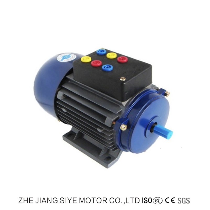 AC Single Phase Stepper Motors