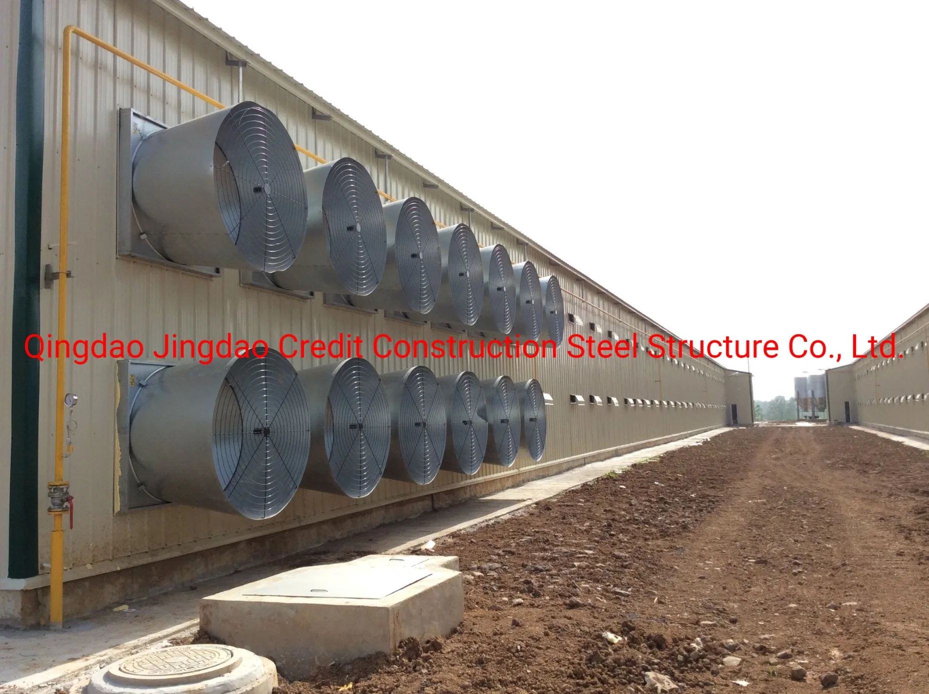 Poultry House Washer/Poultry Houses for Sale/Poultry House Equipment/Poultry House Blower/Poultry House Doors/Poultry House Ventilation Fans/Poultry Housedesign