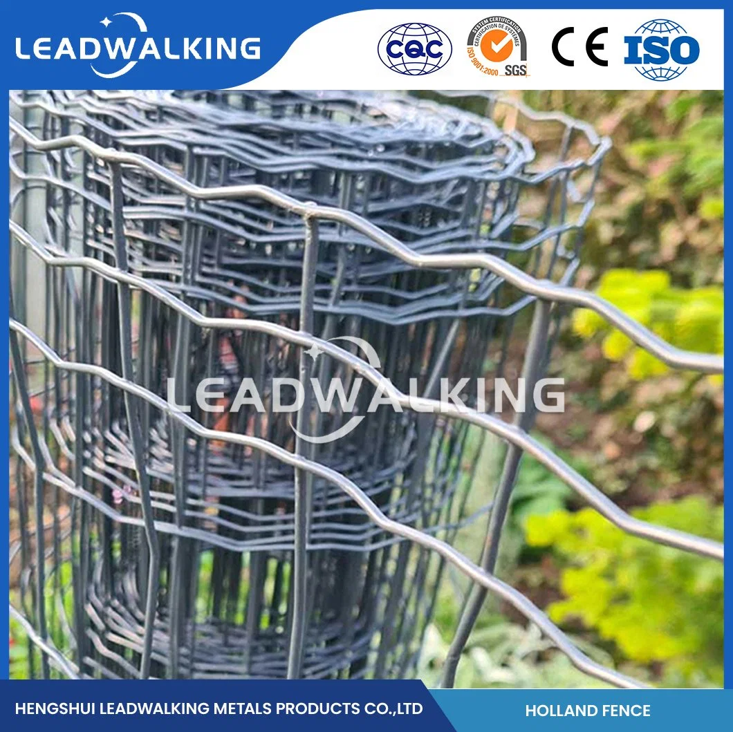 Leadwalking Euro Zaun Welding Mesh Factory Custom 2 Zoll Edelstahl Stahl geschweißte Drahtgeflecht mit PVC-Beschichtung China 50.8X101.6mm Mesh Niederländisches Netz Fechten