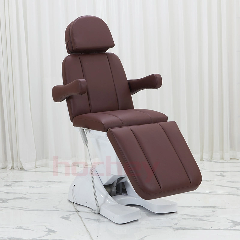 Hochey Hot Selling 3 Motors Electric Acupuncture Table Massage Table Bed Equipment Beauty Salon Furniture