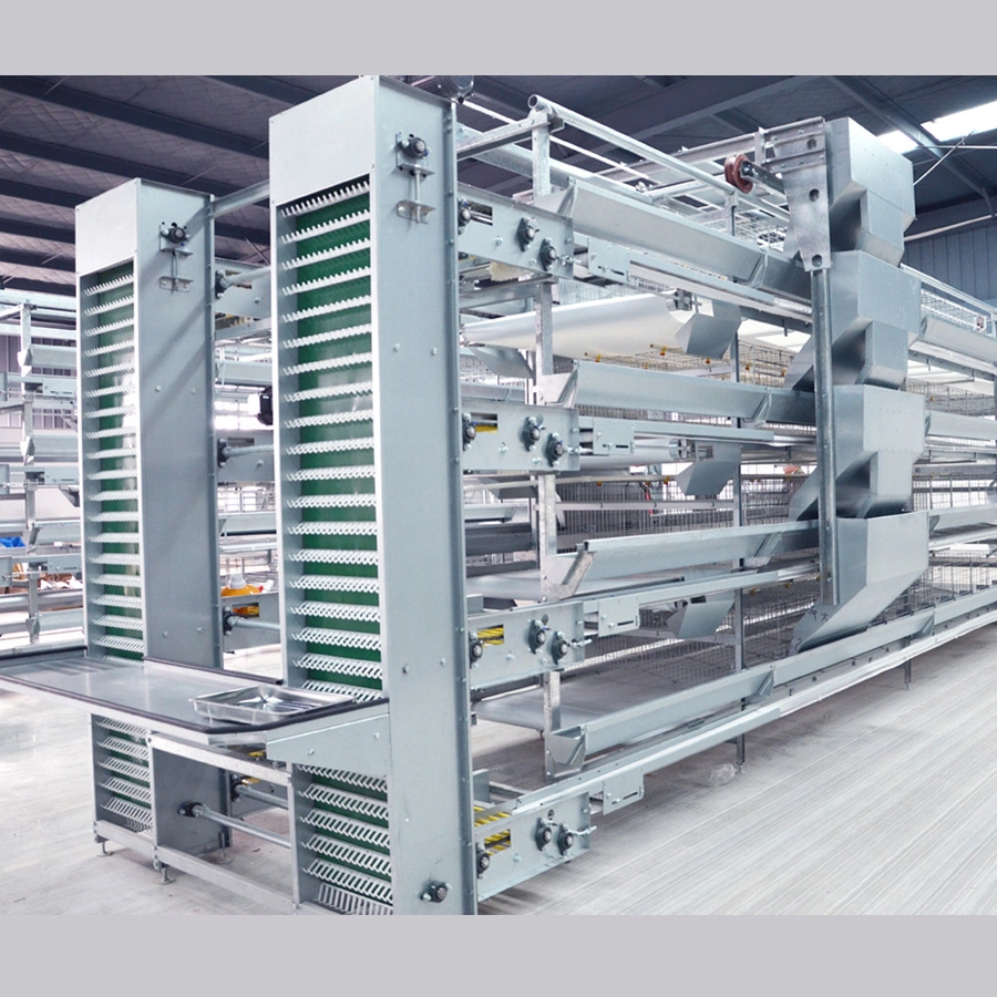 Automatic Chicken Layer Cages System From China