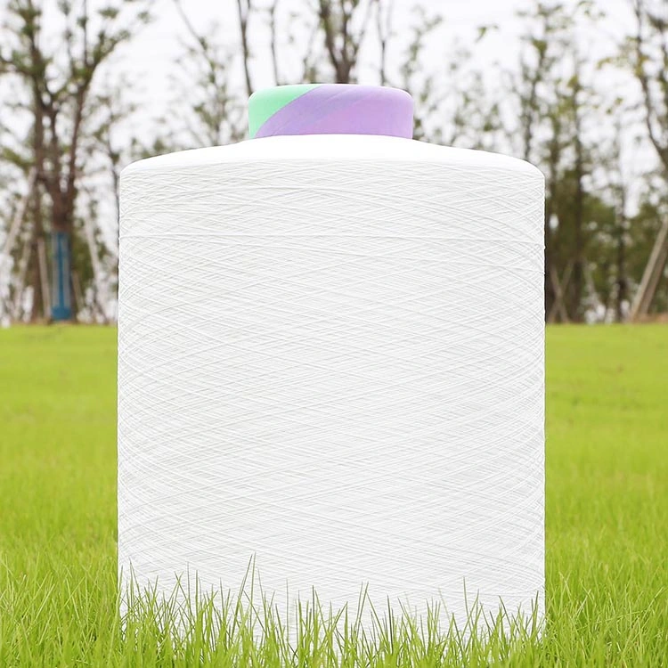 High Grade Antibacterial Nylon DTY Yarn