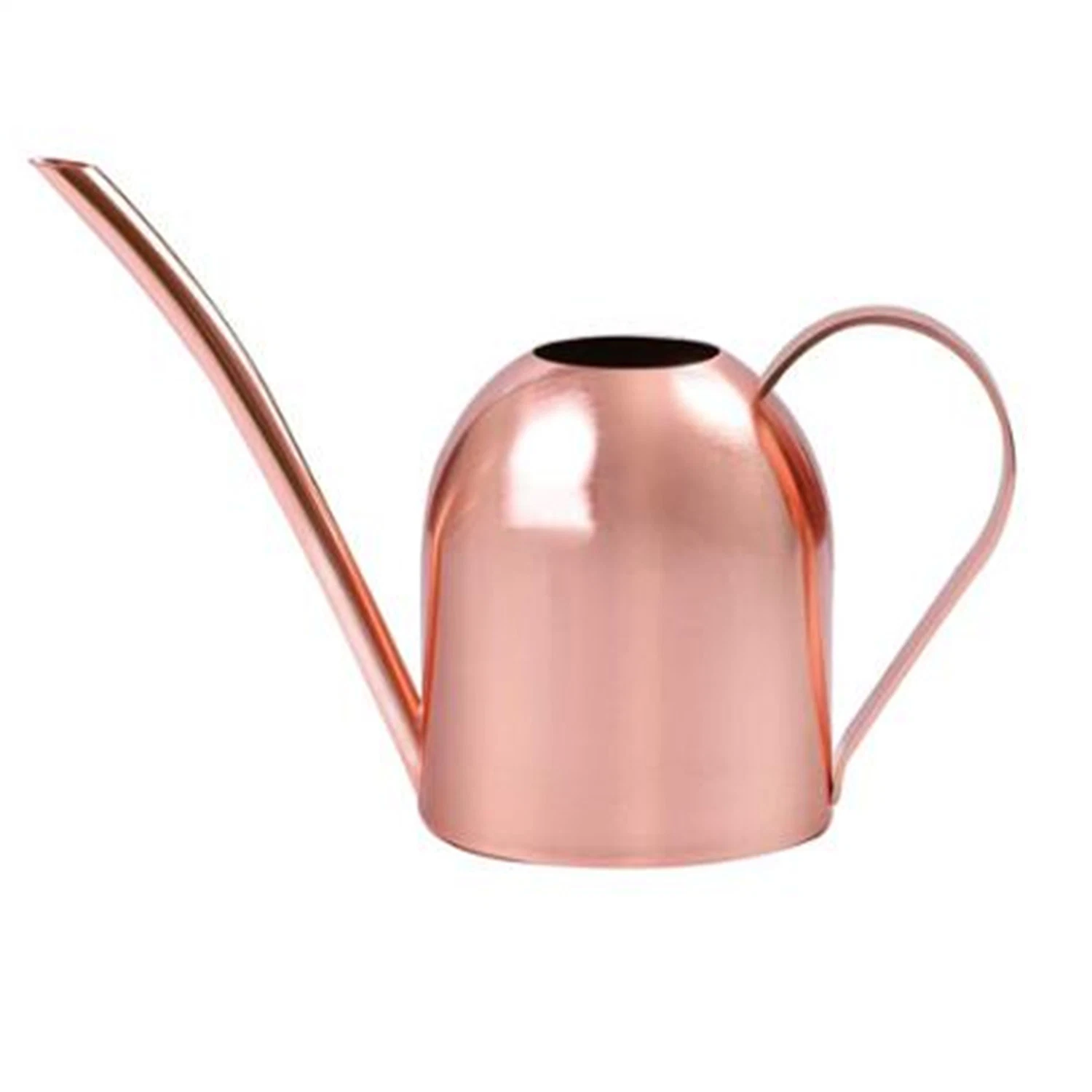 Hot Sale Stainless Steel Garden Watering Can