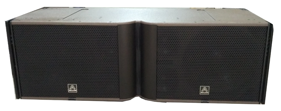 Professional K1 PRO Audio Aclon Acoustic potente Array de línea exterior Altavoz (K1)