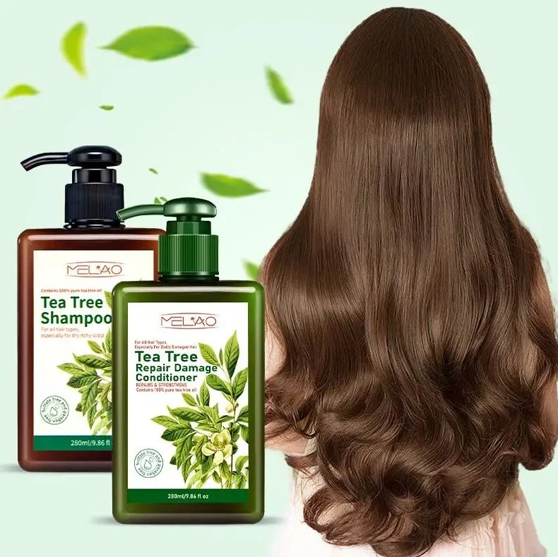 Sulfato livre Itch alívio couro cabeludo limpeza Shampoo Tea Tree óleo Conjunto de lavagem corporal com champô