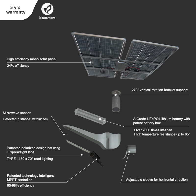 Bluesmart Solar Professional China Manufacturer of 50W All in Two Solar Street Light