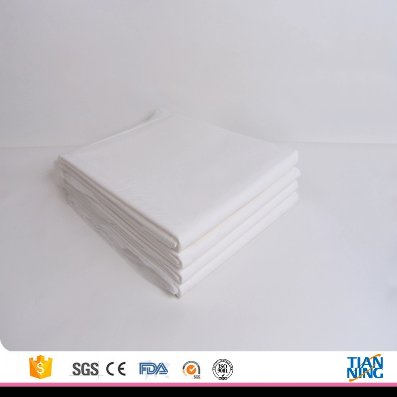 Anti-Slip Pet Dog Puppy PEE Potty Training Pads Floor Clean Protective Original Factory Promotion Sheet Pad OEM Manufacturer Wholesale/Supplier