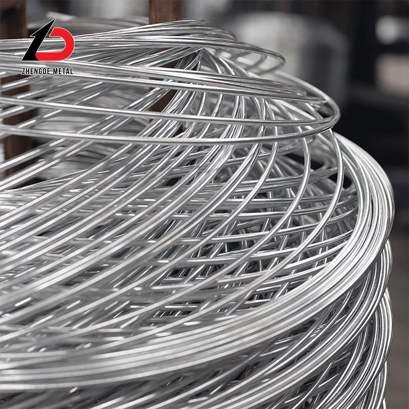 China Supplier High Tension Bwg 20 21 22 Swg 12 14 Gauge 15 16 17 Hot Dipped Zinc Coated Galvanized Steel Wire for Manufuacturing Building Packaging
