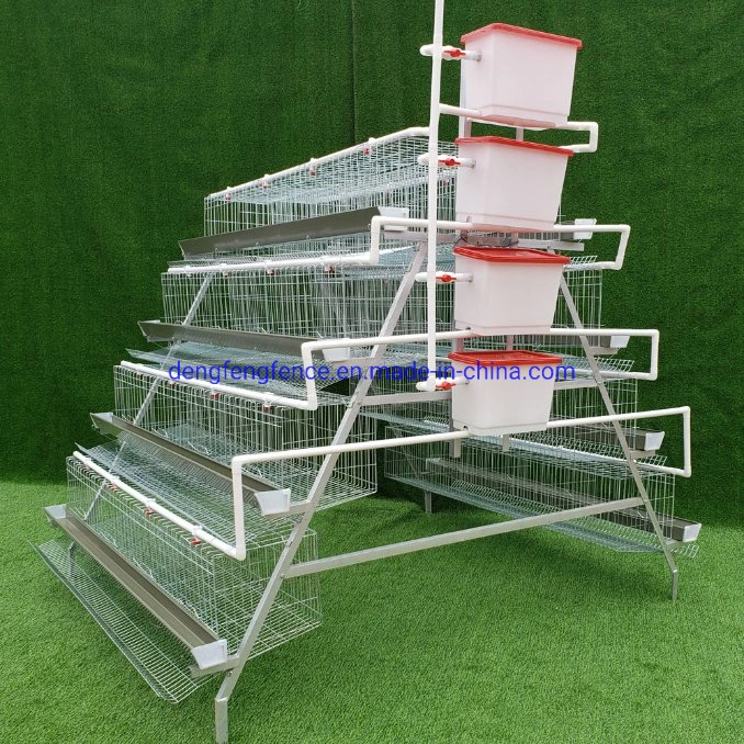 Poultry Farming Equipment a Type Layer Chicken Cage with Automatic System