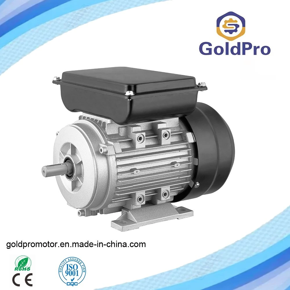 Hot Selling Electric 220-240V/50Hz 60Hz Single Phase Motor with Aluminum Frame