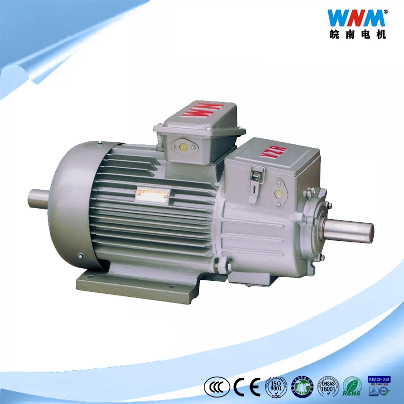 Yvf2 Wnm Brand Inverter Variable Frequency Motor Spare Parts of Induction Electric Motors Manufacturer Since 1958 OEM ODM