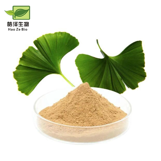 Ginkgo biloba مسحوق جينكجين جينكجو ورقة استخراج جينكجو biloba استخراج الأوراق