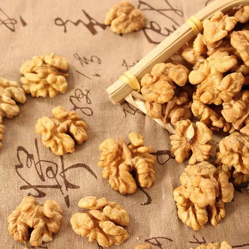 Chinese Top Grade Wholesale Cheap Price 185 in Shell Walnuts Kernels