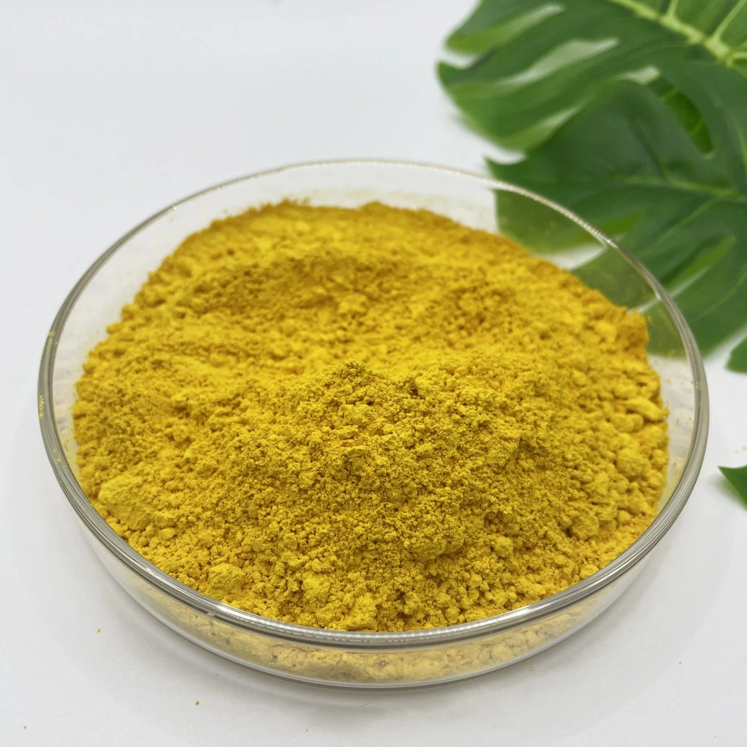 Hot Sale Vitamin B9 Feed/Food Additives Pharmaceutical Grade Folic Acid Vitamin a/Vitamin C/Vitamin D/Vitamin B1/B5/B6/B7/B9/B12/Vitamin E