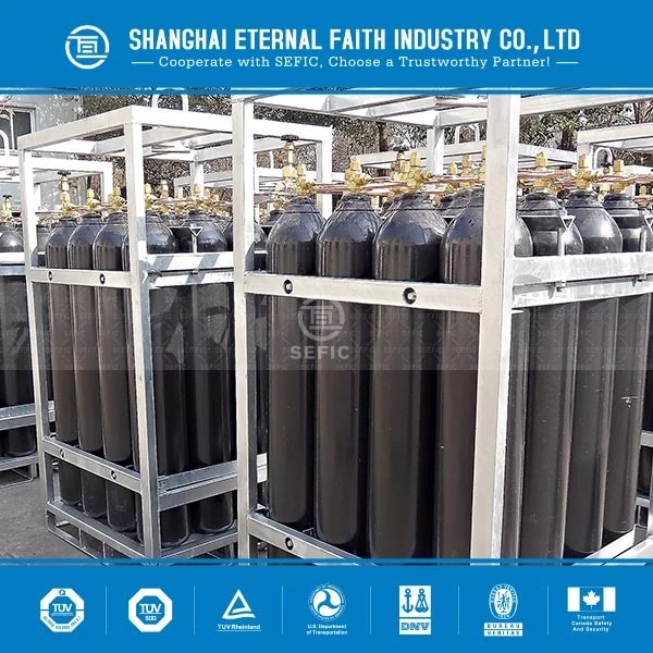 Professional Manufacturer Supplier Wholesale/Supplier Hydrogen Cylinder Rack