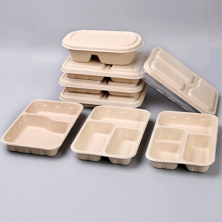 Sostenibilidad biodegradables de Comida Rápida Comida para llevar almuerzo desechables de embalaje de alimentos de bagazo el recipiente con tapa